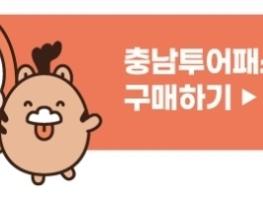 충남도 모바일 티켓 한 장으로 충남관광 즐긴다 기사 이미지