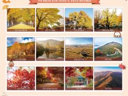 충남도 자연이 보내는 알록달록 가을 초대장 기사 이미지