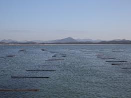 전세계 입맛 사로잡은 ‘충남 김’ 수출액 역대 최고  기사 이미지